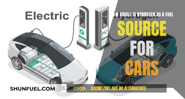 Hydrogen Cars: Fuel Source Viability and Challenges
