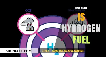 Hydrogen Fuel: Assessing Its Viability as a Sustainable Energy Solution