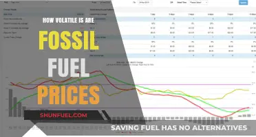 Fossil Fuel Prices: A Volatile History