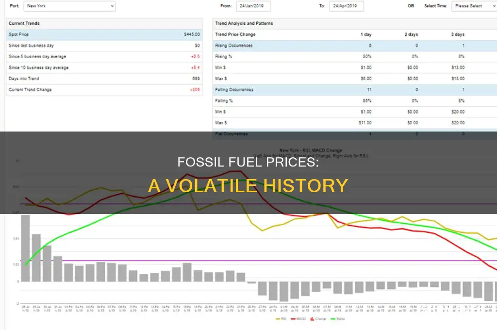 how volatile is are fossil fuel prices