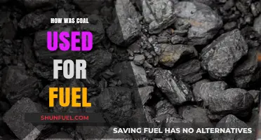 From Ancient Fires to Industrial Power: Coal's Fuel Legacy
