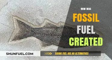 The Origin of Fossil Fuels: A Historical Perspective