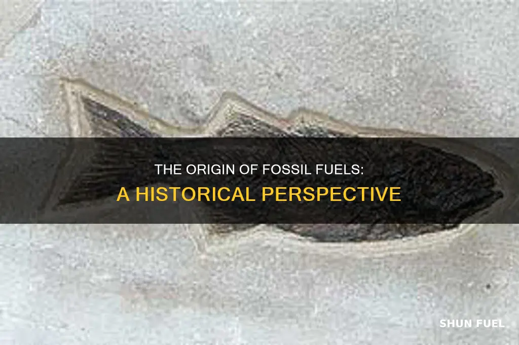 how was fossil fuel created