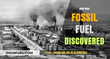 The Origin of Fossil Fuels: A Historical Perspective