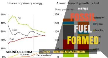 The Evolution of Fossil Fuels: A Historical Perspective