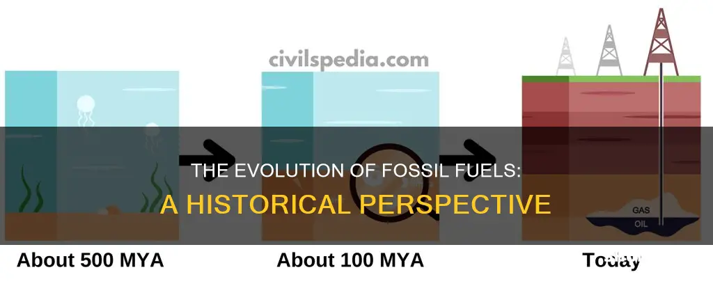 how was fossil fuel formed