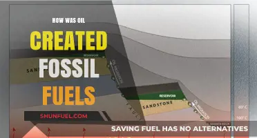 The Origin of Oil: Fossil Fuels Explained
