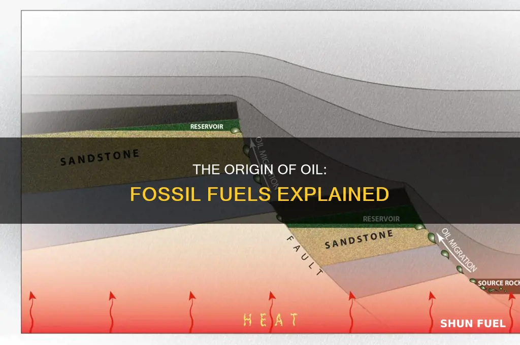 how was oil created fossil fuels