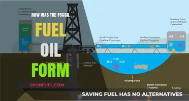 The Origin of Fossil Fuel Oil