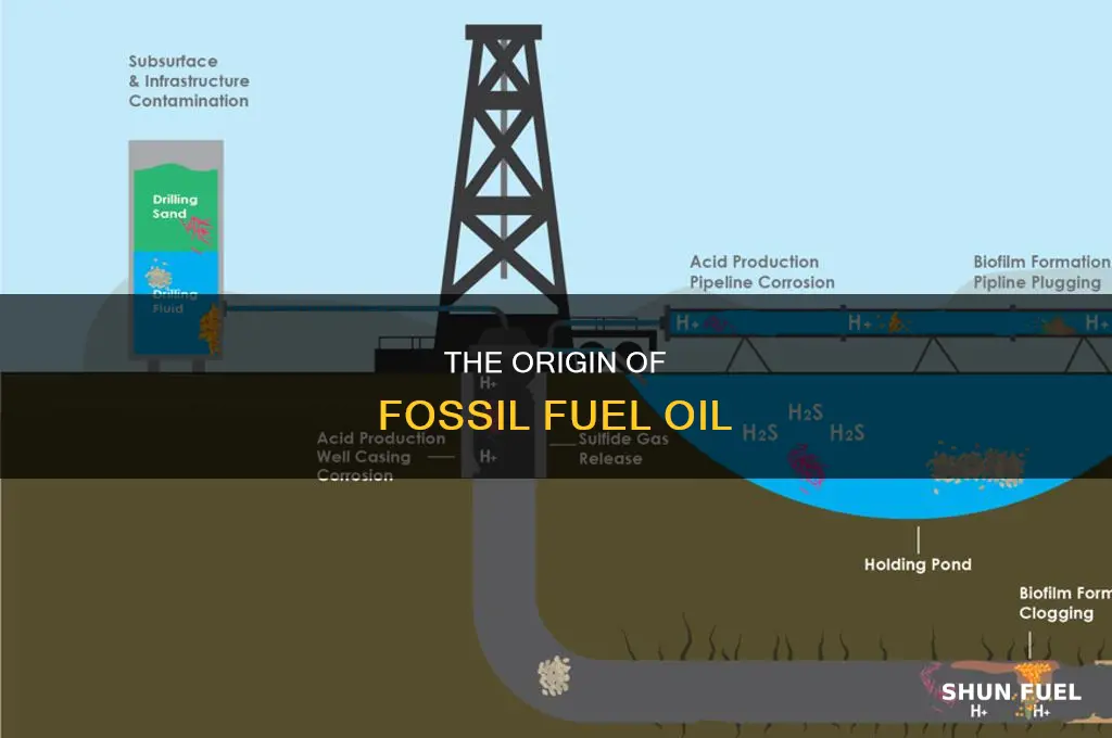 how was the fossil fuel oil form