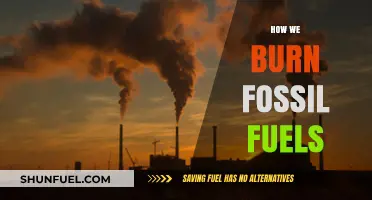 Burning Fossil Fuels: The Process and Its Impact