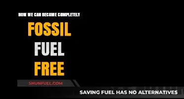 A Fossil Fuel Free Future: What It Takes