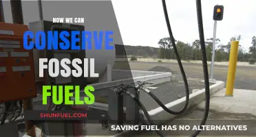 Conserving Fossil Fuels: Strategies for a Sustainable Future