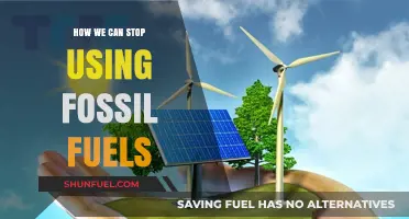 Ending Fossil Fuel Usage: A Sustainable Future