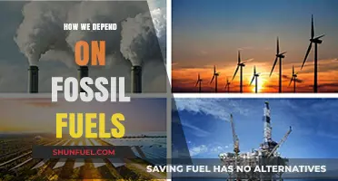 Fossil Fuels: Our Past, Present, and Future Dependence
