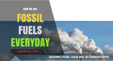 Fossil Fuels: Powering Our Daily Lives