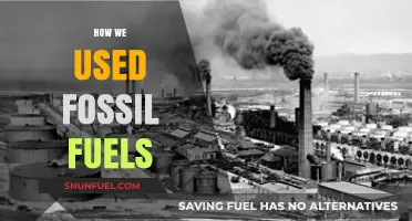 The Evolution of Fossil Fuels: Our Past and Future