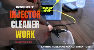 Fuel Injector Cleaners: Effective Maintenance or Wasteful Gimmick?