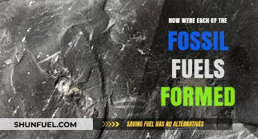 The Evolution of Fossil Fuels: Formation and History