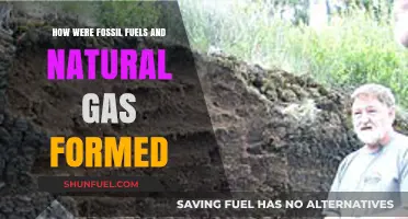 The Origin of Fossil Fuels and Natural Gas