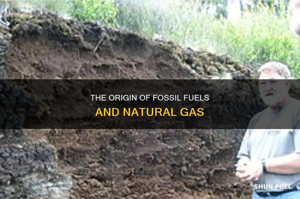 how were fossil fuels and natural gas formed