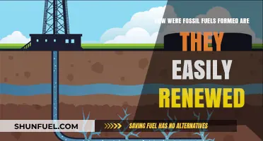 The Origin of Fossil Fuels: Are They Renewable?