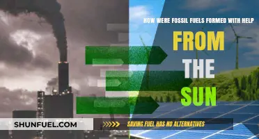The Sun's Role in Fossil Fuel Formation
