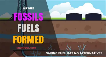 The Origin of Fossil Fuels: A Historical Perspective