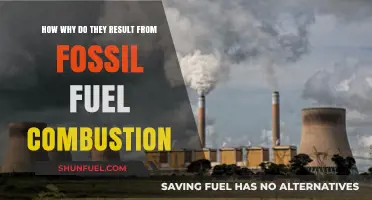 Fossil Fuel Combustion: Understanding the Causes of Climate Change