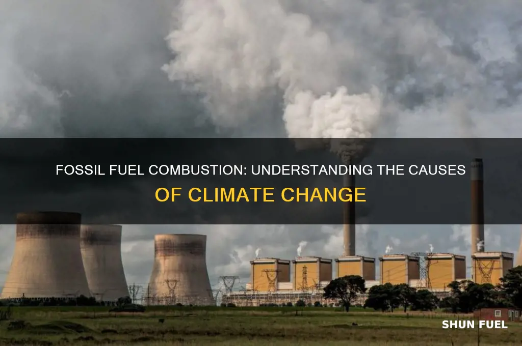 how why do they result from fossil fuel combustion
