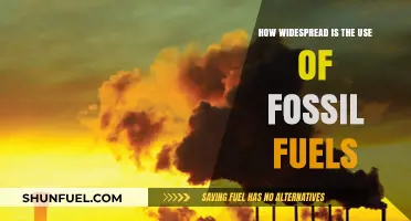 Fossil Fuels: Global Dependence and Impact
