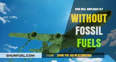 The Future of Flight: Planes Without Fossil Fuels