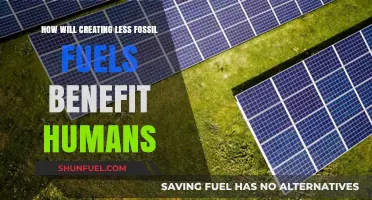 Reducing Fossil Fuels: A Healthier Future for Humanity
