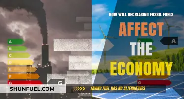 Fossil Fuel Reduction: Economic Impact and Opportunities