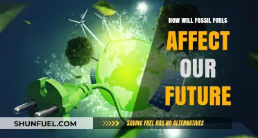 Fossil Fuels: Our Future's Dark Cloud?