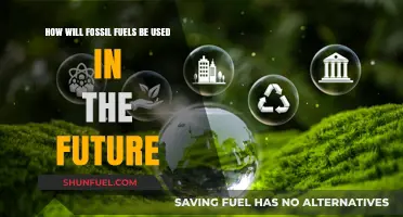 The Future of Fossil Fuels: Transition and Decline
