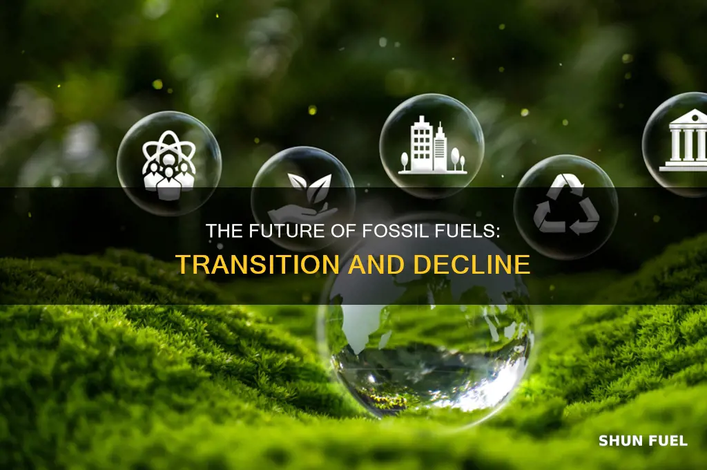 how will fossil fuels be used in the future