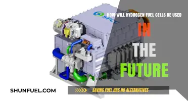 Hydrogen Fuel Cells: Powering Tomorrow's Transportation and Energy Revolution