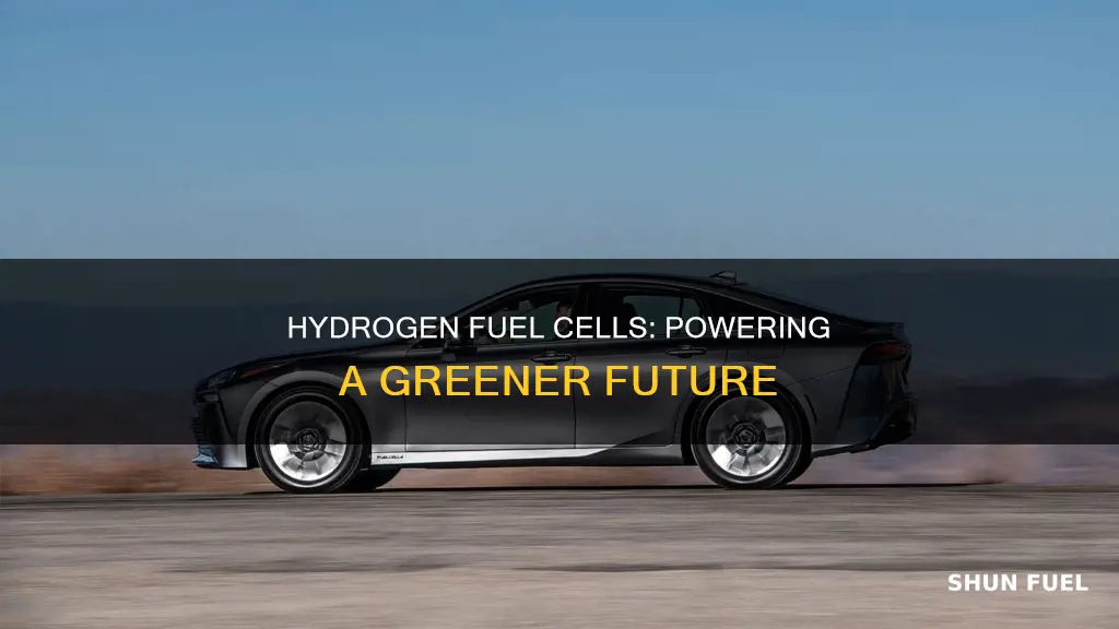 how will hydrogen fuel cells change the world