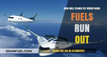 The Future of Flight: Planes Without Fossil Fuels