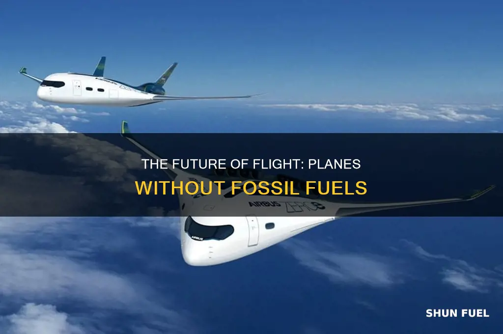 how will planes fly when fossil fuels run out