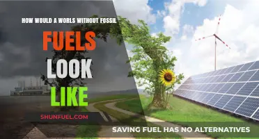 A Green Future: Life Without Fossil Fuels