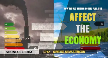 Fossil Fuel Phase-Out: Economic Impact and Opportunities