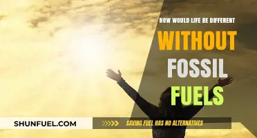 Life Without Fossil Fuels: A Greener, Healthier Future