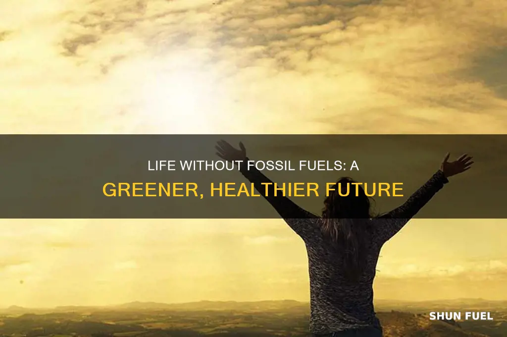 how would life be different without fossil fuels