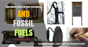 Life Without Electricity and Fossil Fuels: A Dark Age?