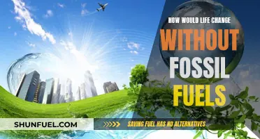 Life Without Fossil Fuels: A Green Revolution