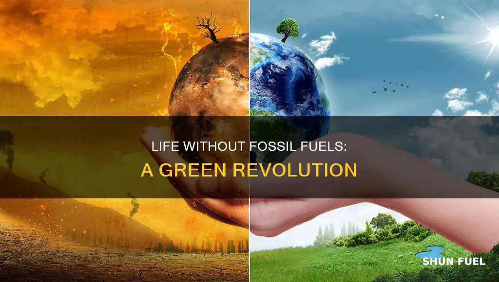 how would life change without fossil fuels