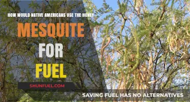 Honey Mesquite: A Vital Fuel Source for Native American Tribes