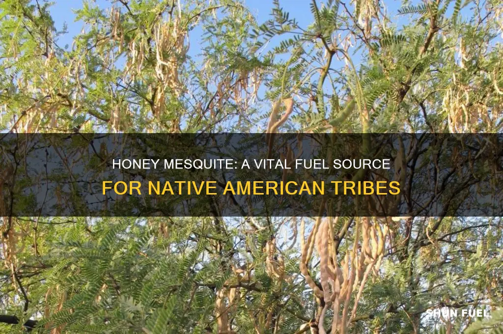 how would native americans use the honey mesquite for fuel
